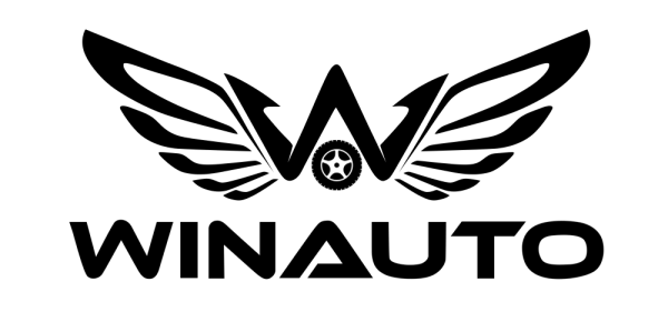 Winauto black